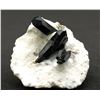 Image 1 : Neptunite from Benitoite Gem Mine, San Benito County, California  (53032)