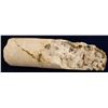 Image 1 : Rosebud Gold-Silver Mine Drill Core  (61114)