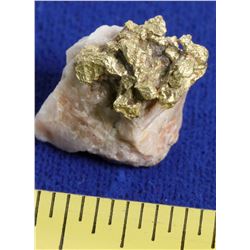 Gold in Quartz  (117932)