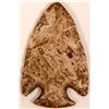 Image 1 : Native American Snyders Projectile Point Museum Collection Label  (117356)