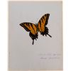 Image 1 : Butterfly by Arthur C. Nahl.  (117451)