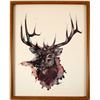 Image 1 : Large Buck Print by John Livingston  (79177)