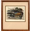 Image 1 : Wood Ducks Giclee Print  (116203)