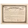 Image 1 : Panama-Pacific International Exposition Co  stock  (82749)