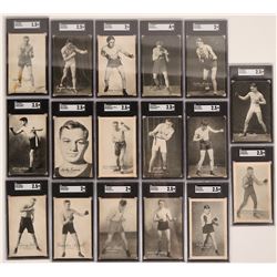 A Group of 17 Various Weight Class Boxers  (117207)