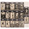 Image 1 : A Group of 17 Various Weight Class Boxers  (117207)