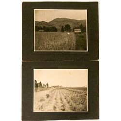 Large California Agricultural Photos (2)  (90304)