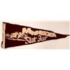 Image 1 : Minnesota State Fair Pennant  (117460)