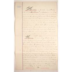 Rhodes Salt Marsh (Borax) Legal Document, 1884  (89867)