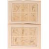Image 1 : Wheeler Astronomical Surveys of Nevada (and Wyoming & Colorado)  (113217)