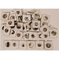 Lapel Pin Collection  (119161)