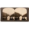 Image 1 : Stereoview photo of the Peary Expedition ships  to the North Pole   (118001)