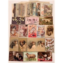 Animal Postcards Group (40)  (111693)