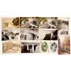 Image 1 : Roosevelt Dam Postcards  (63822)