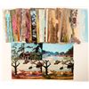 Image 1 : Pacific Grove, CA Postcards  (90782)