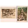 Image 1 : Pasadena and Mt. Lowe Railway, Real Photo Post Cards, one b/w and one color  (119931)