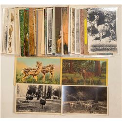 Deer Postcards  (91328)