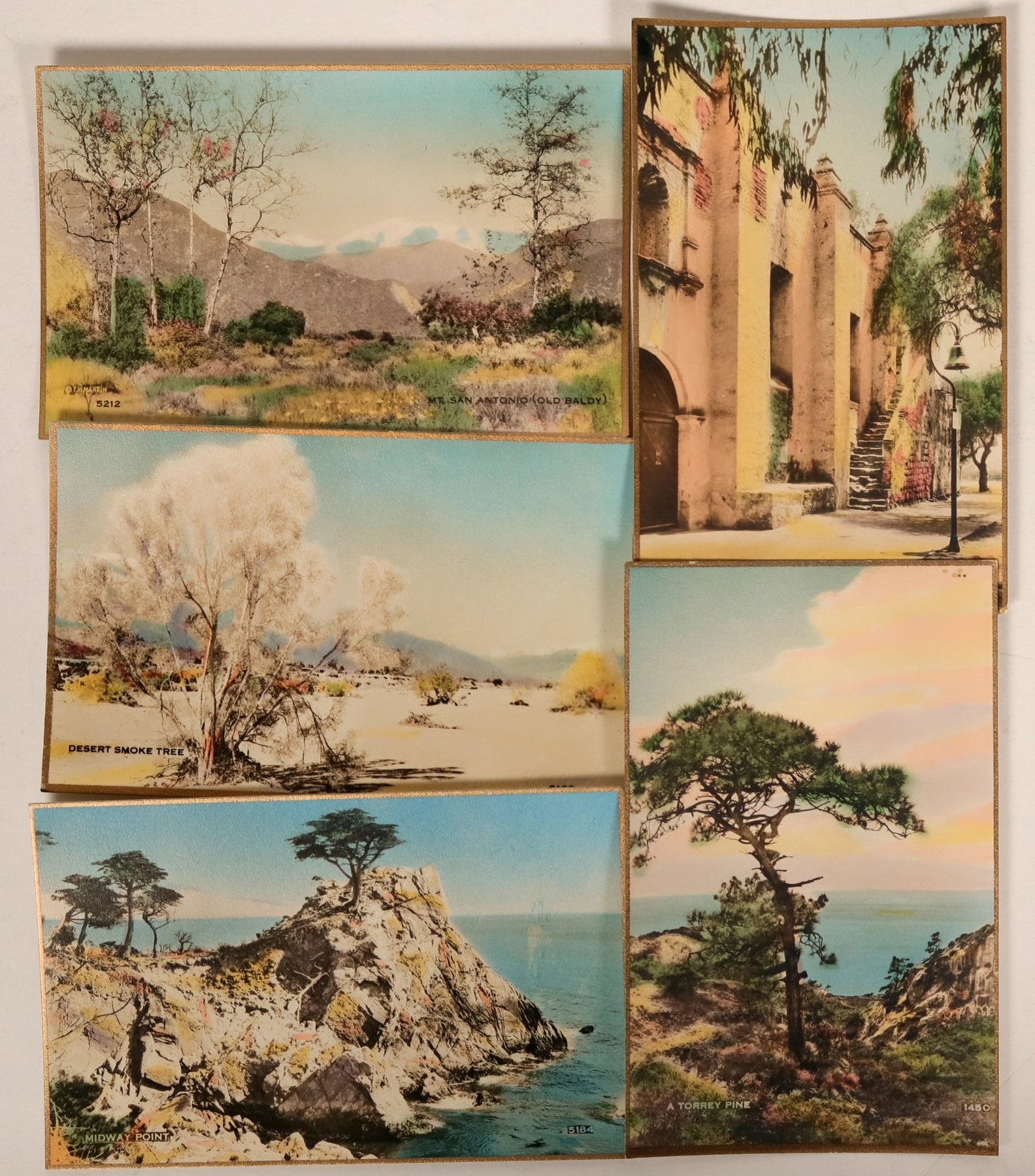 Hand Colored Postcards by Martin (118191)