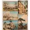 Image 1 : Hand Colored Postcards by Martin  (118191)