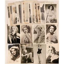 Hollywood Pinup Girls Group of Postcards (28)  (111720)