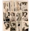 Image 1 : Hollywood Pinup Girls Group of Postcards (28)  (111720)