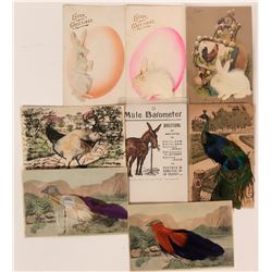 Odd lot of Birds and Rabbits Postcards with Raised Fur and Feathers (8)  (111681)