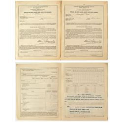 Butte Annual Mine Reports (2 each)  (40800)