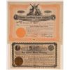 Image 1 : Two Different Douglas Mining Stock Certificates  (106799)