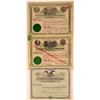Image 1 : Three Different Santa Rita Mining Stock Certificates  (106924)