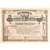 Image 1 : Aurora Consolidated Mining Company Stock  (99597)
