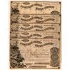 Image 1 : Tuolumne County Water Company Columbia California Stock Certificates  (117381)