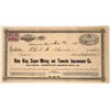 Image 1 : Ruby King Copper Mining & Townsite Improvement Co. Stock  (107569)
