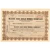 Image 1 : Black Oak Gold Mines Co. Stock Certificate, Tuolumne County, Cal. 1924  (111654)