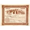 Image 1 : Lady Campbell Gold Mining Co. Stock Certificate, Cripple Creek, CO, 1902  (58413)