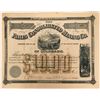 Image 1 : Paris Consolidated Mining Co. Colorado Stock Certificate  (117377)