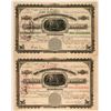 Image 1 : Two Silver Cord Combination Colorado Stock Certificates  (117379)