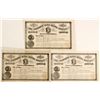 Image 1 : Ellsworth Silver Mining Company Stock Certificates  (60253)