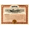 Image 1 : Magdalena Smelting & Mining Co. Stock Certificate, Oaxaca, Mexico 1907  (59087)