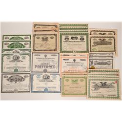Hawaii Stock Certificate Group   (117534)