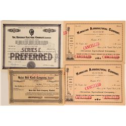 Hawaiian Stock Certificates  (115998)