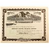 Image 1 : American Central Railways Company  (82208)