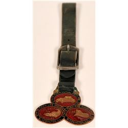 Fancy, colorful Cloisonne Pictorial FOB  (118186)