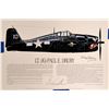 Image 1 : Lt. Paul Drury and Horst Petzschler, WWII Aces  (109417)