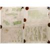 Image 1 : East Nevada Topography Maps (Approx. 15)  (86820)