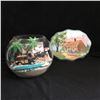 Image 1 : COLLECTIBLES LOT