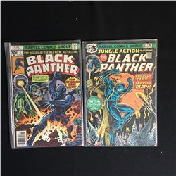 BLACK PANTHER NO.2 NO.21 BRONE AGE COMIC BOOK LOT