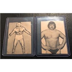 1973 Wrestling Annual Wrestling Card Lot