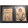 Image 1 : 1973 Wrestling Annual Wrestling Card Lot