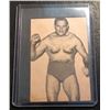 Image 1 : 1973 Wrestling Annual Wrestling Card Lot