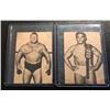 Image 1 : 1973 Wrestling Annual Wrestling Card Lot